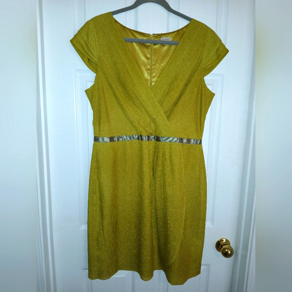 Beautiful Dress